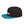 TK80 Snapback